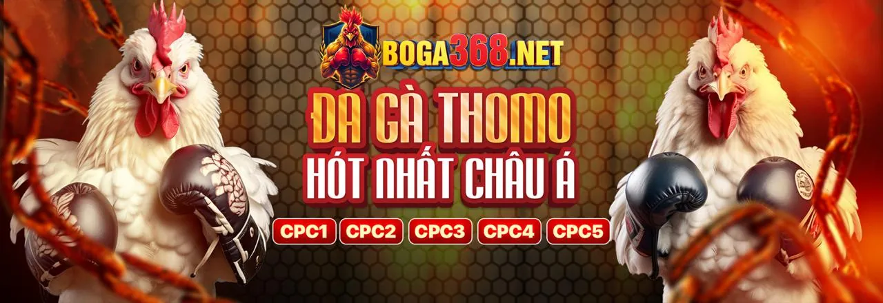 Sòng bạc trực tuyến với tỷ lệ trả thưởng cao